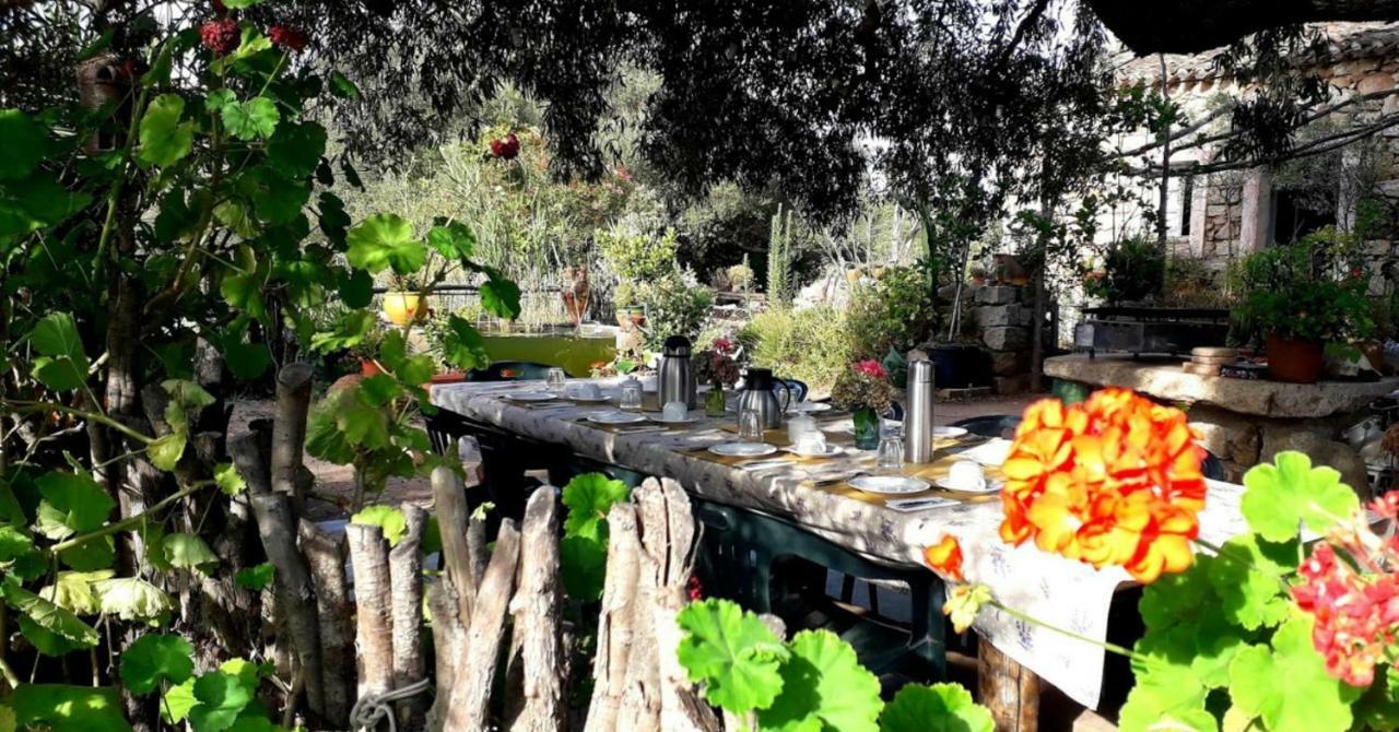 Stazzu La Capretta Farm Camping & Guest Rooms Olbia Exterior foto