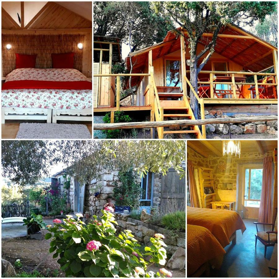 Stazzu La Capretta Farm Camping & Guest Rooms Olbia Exterior foto